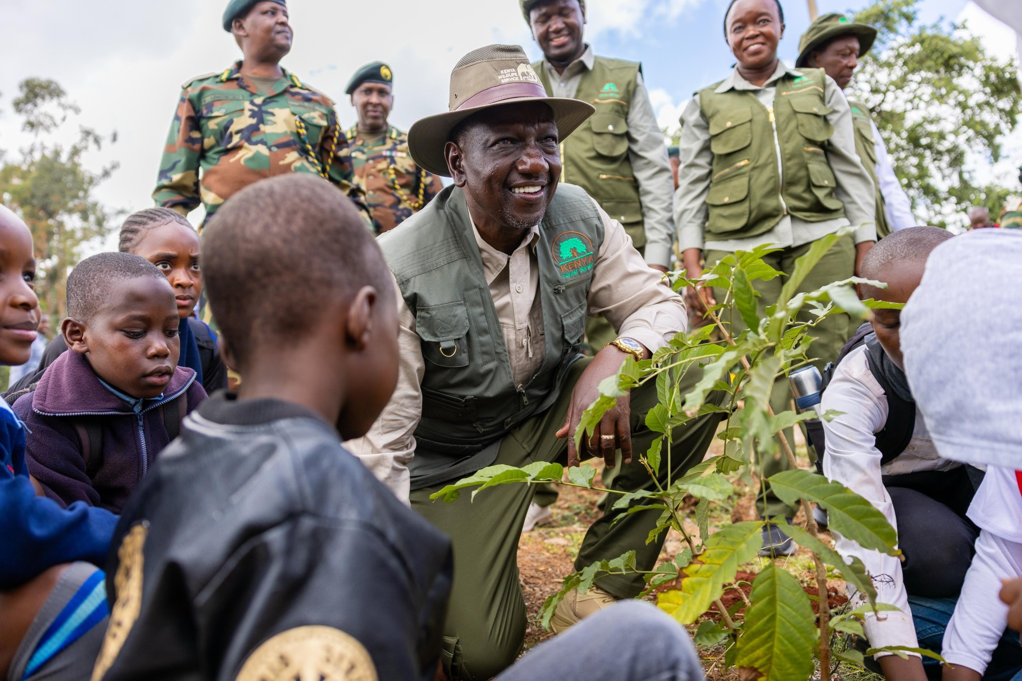 State to set up 17 mega nurseries to fast-track Ruto’s 15bn tree drive