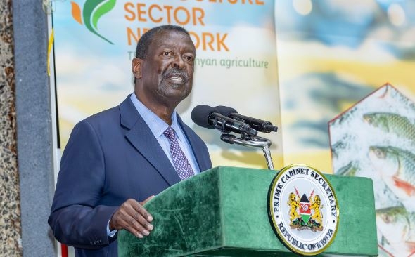 Kenya moves to free citizens caught in Russia-Ukraine war