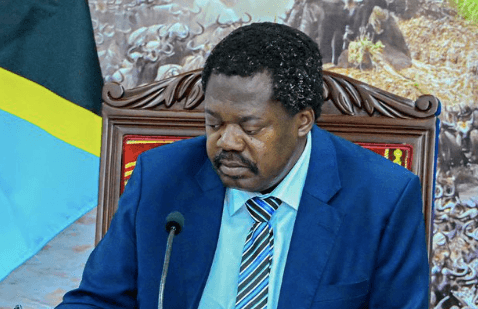 DP Nchimbi: Suluhu ready for dialogue