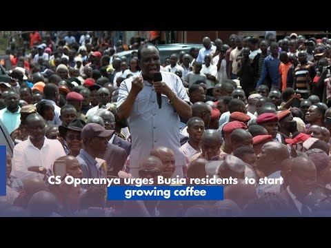 CS Oparanya urges Busia residents  to start growing coffee