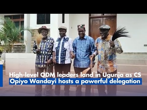 High level ODM leaders land in Ugunja as CS Opiyo Wandayi hosts a powerful delegation